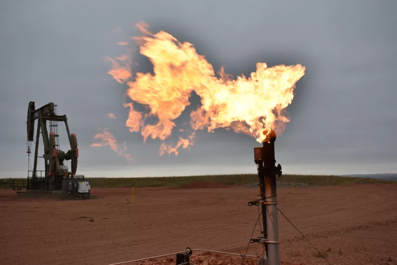 Oil 