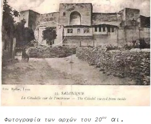 πεύκο