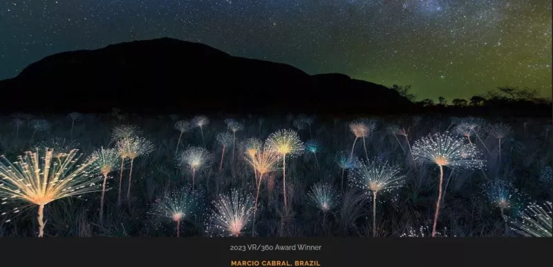 Epson International Pano Awards