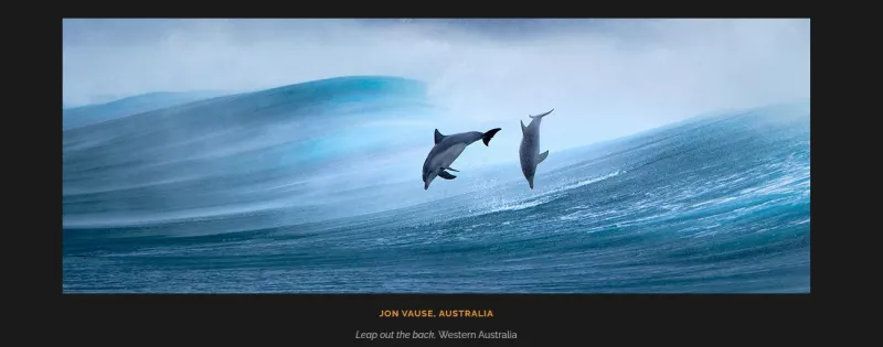 Epson International Pano Awards