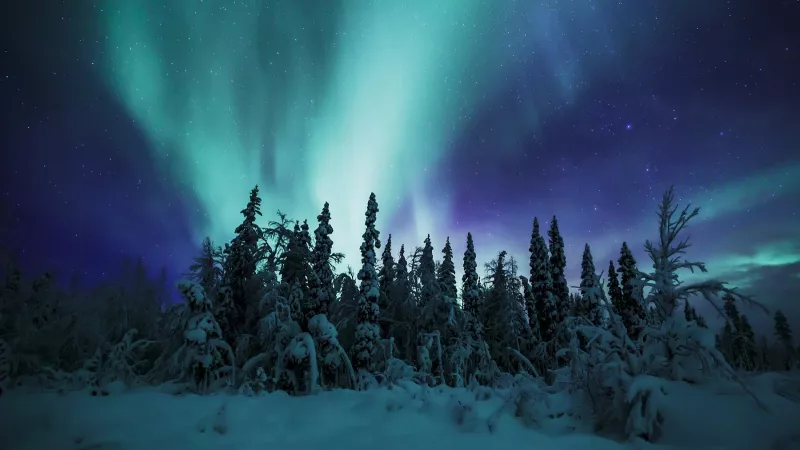 FROZEN PLANET II