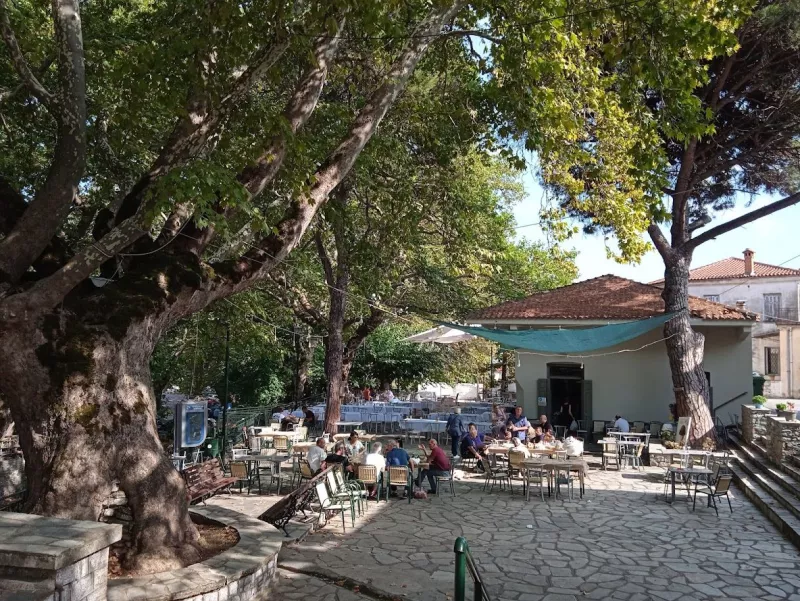 πλατανια