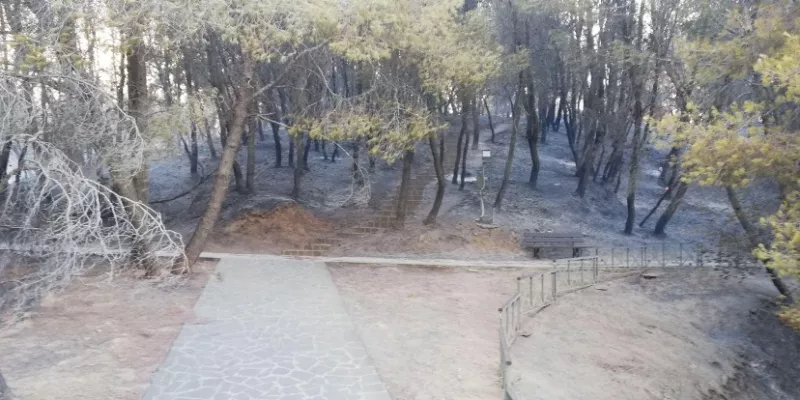 Μυκηναϊκό νεκροταφείο στις Πόρτες