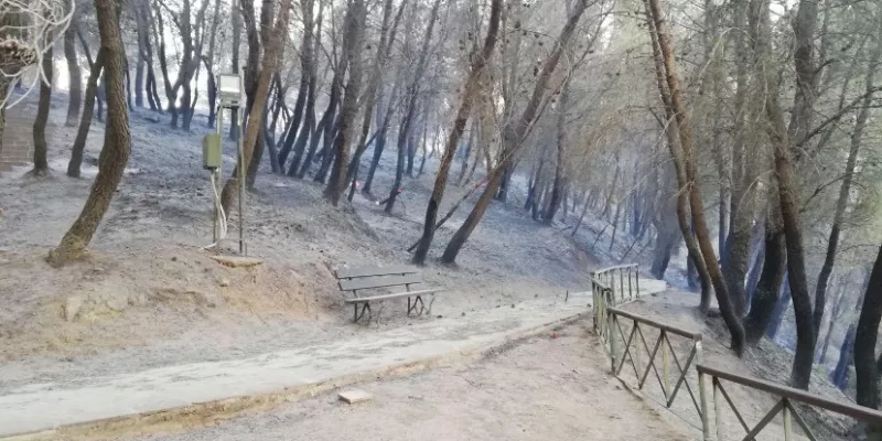 Μυκηναϊκό νεκροταφείο στις Πόρτες