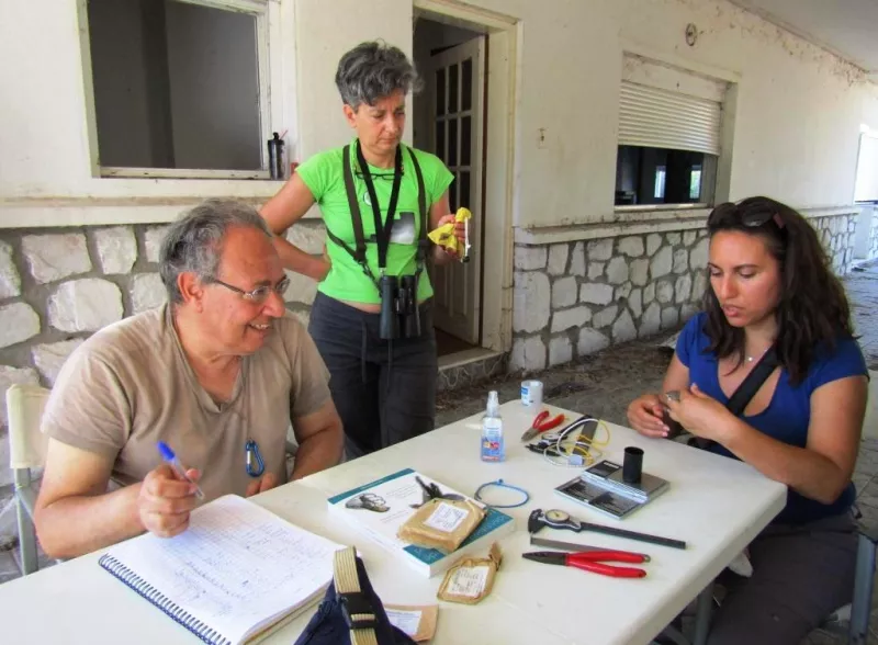 Δακτυλιώσεις πουλιών στο Δέλτα του Νέστου