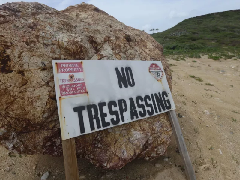 ssssssssssss