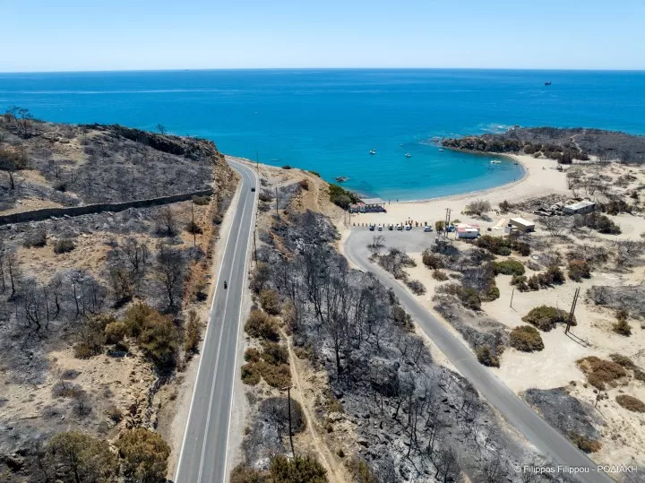 rodos