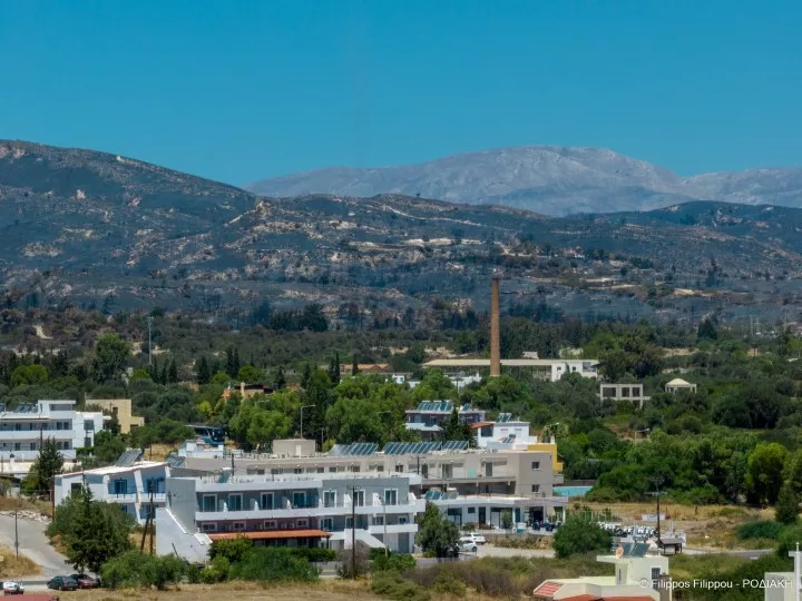rodos