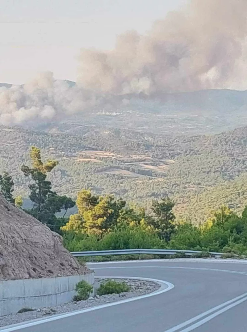 rodos