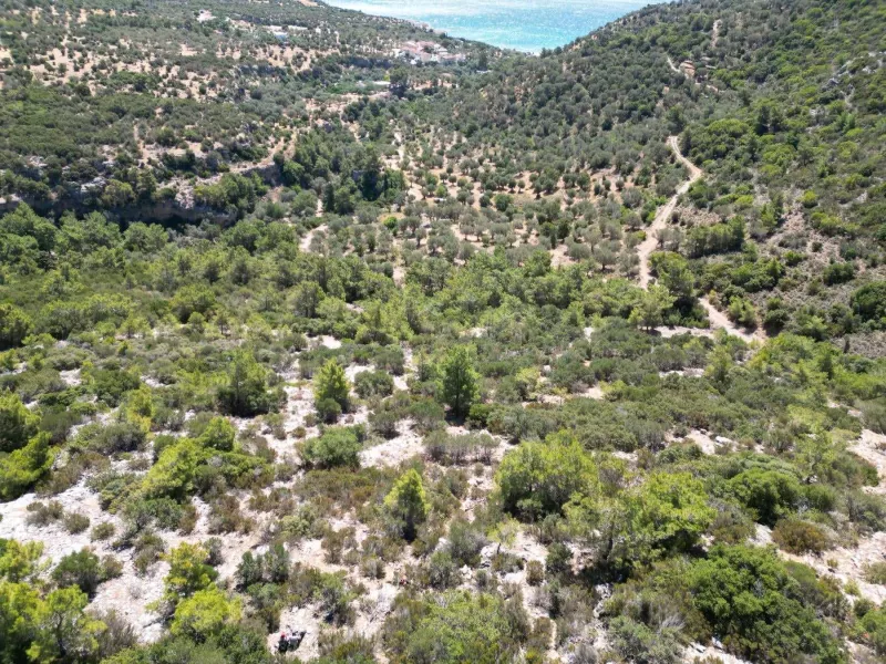σαμος