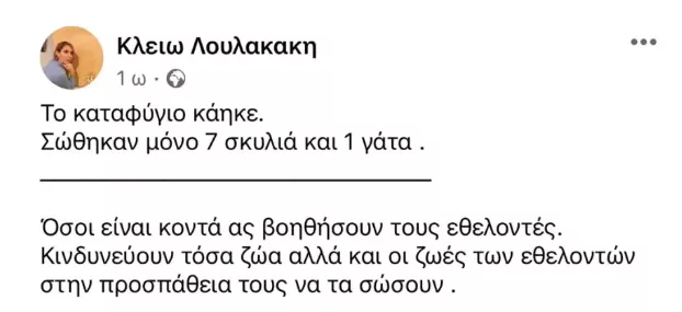 Πυρκαγια