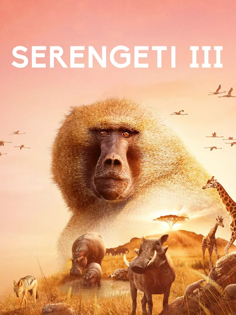 Serengeti 