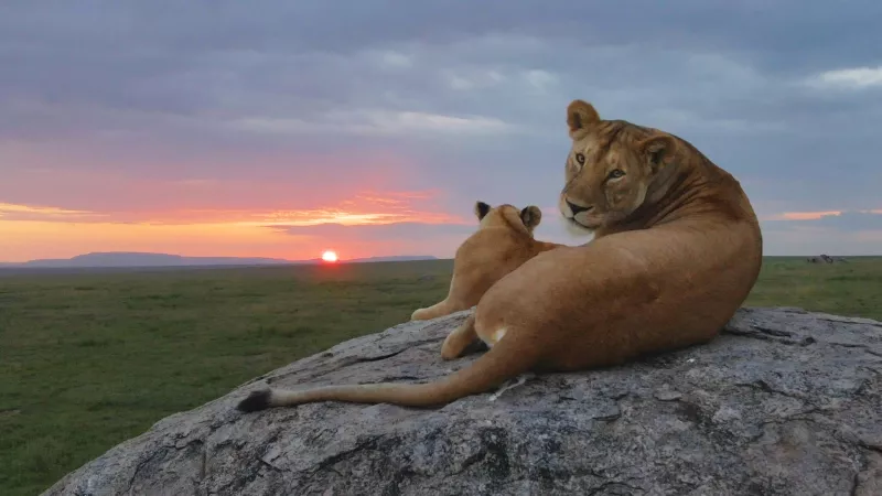 Serengeti 