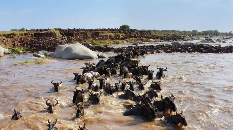 Serengeti 