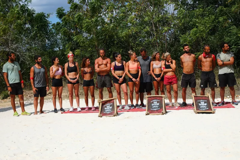 Survivor All Star