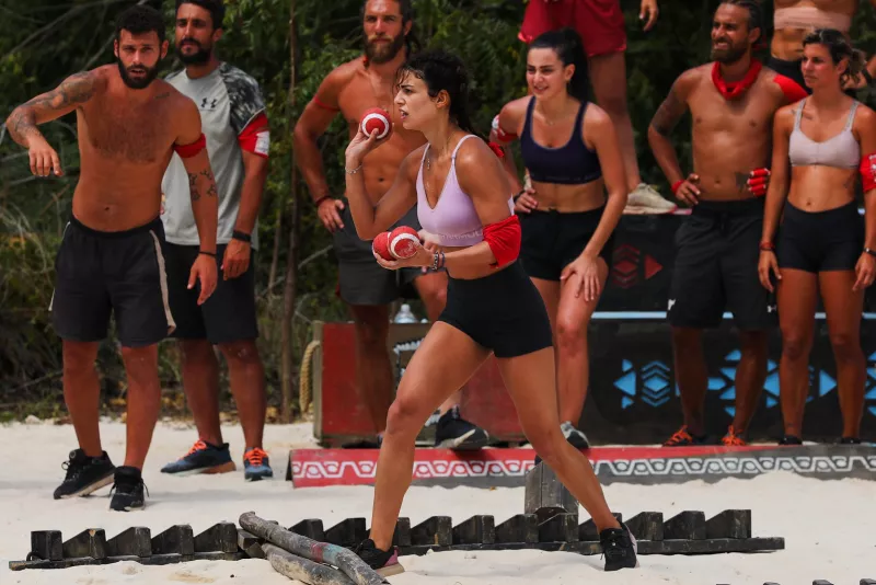 Survivor All Star