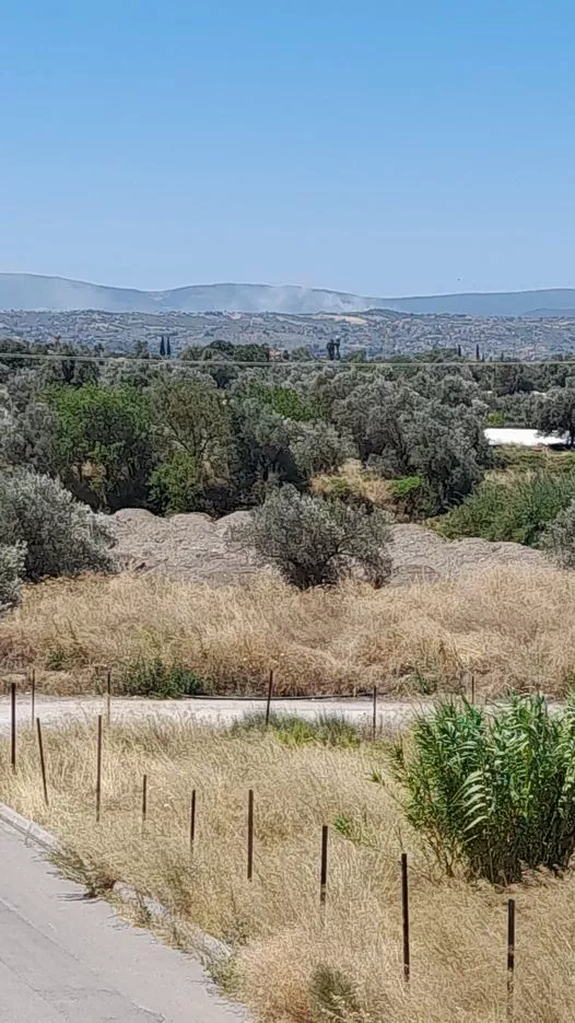 Σχηματάρι