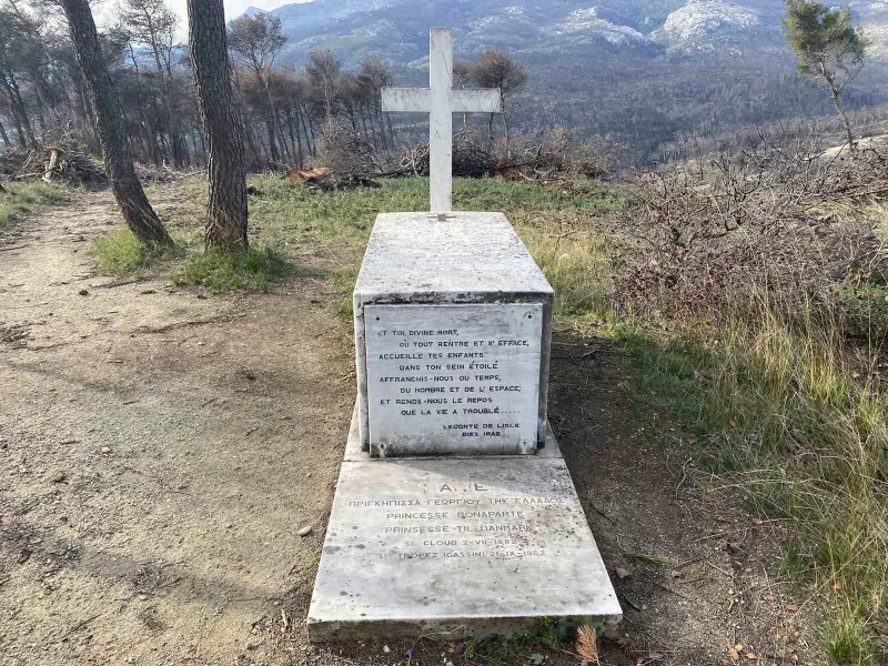 tatoi