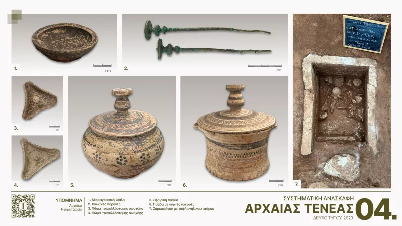 τενεα
