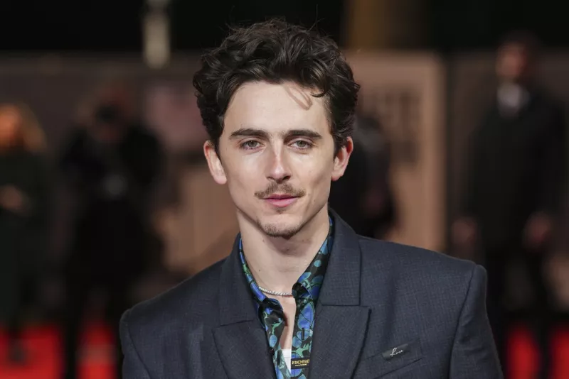Timothee Chalamet