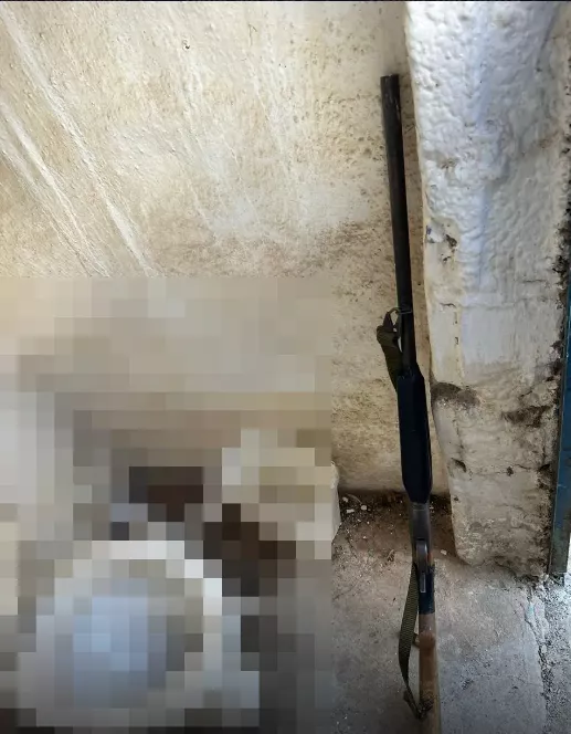 Βορίζια