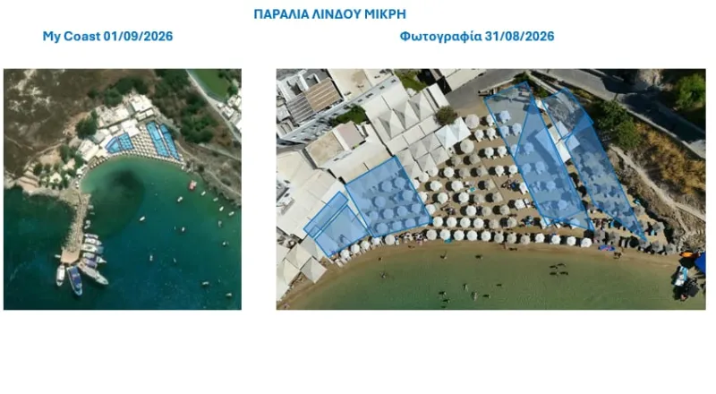paralies