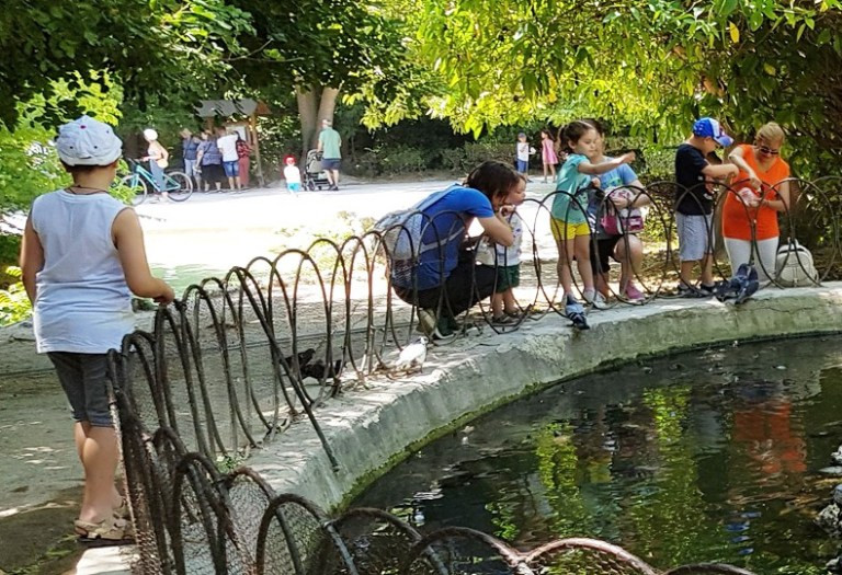Τα ζώα λειτουργούν ως “μαγνήτες” για τα παιδιά. Εδώ η λίμνη με τις υδρόβιες χελώνες. Εθνικός Κήπος 16/06/2019 DNK 2019.
