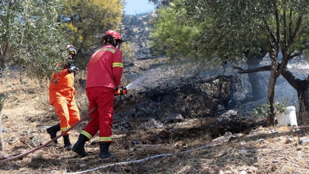 Φωτιά στην περιοχή Φοίνικας του Δήμου Σπάτων-Αρτέμιδας