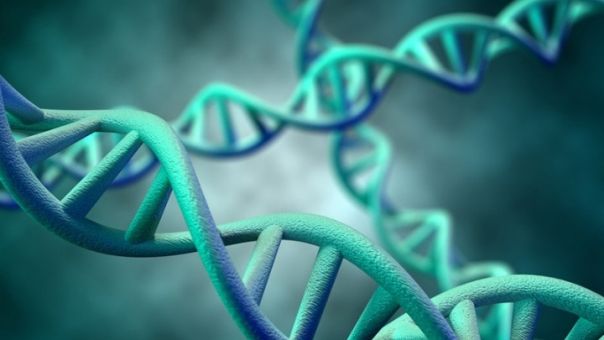 Αποκωδικοποιήθηκε, για πρώτη φορά, το πλήρες ανθρώπινο γονιδίωμα- Τί επισημαίνουν οι ειδικοί