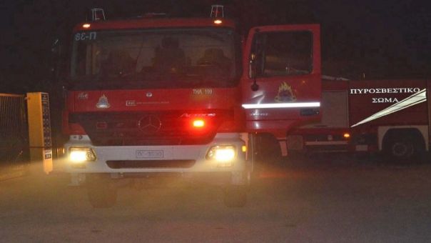 Φωτιά στη Ναύπακτο: Καίγονται κολώνες της ΔΕΗ- Δεν απειλούνται σπίτια (vid)