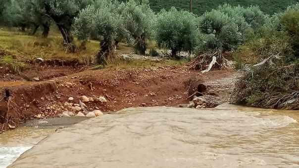 Μπάλλος- Αγρίνιο: Προληπτική εκκένωση οικισμού λόγω ανόδου στάθμης νερού στη λίμνη Λυσιμαχεία (VID)