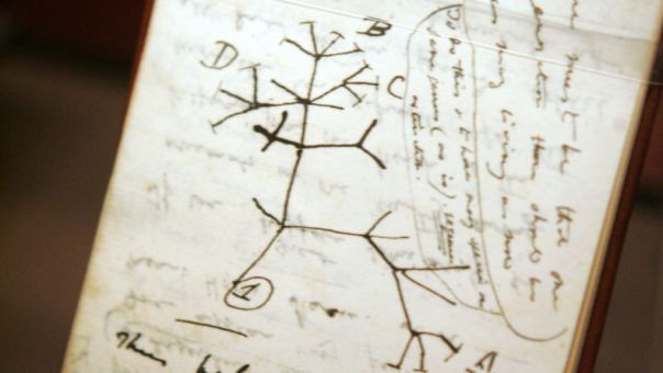 Χάθηκαν σπάνια χειρόγραφα του Δαρβίνου από το Κέμπριτζ - Δεν τα χει δει κανείς 20 χρόνια (vid)