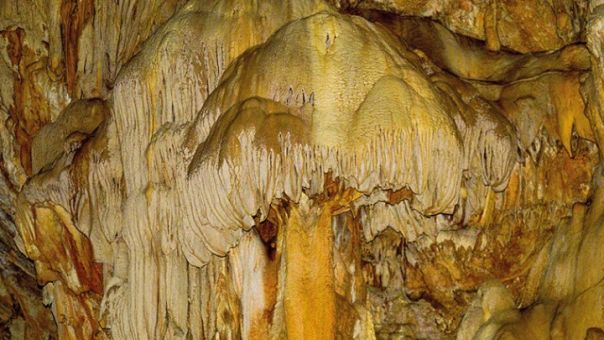 Πρέβεζα: «Ένα κρυμμένο μυστικό της γης» -Σπήλαιο με σταλακτίτες και σταλαγμίτες ανακάλυψε παρέα νεαρών