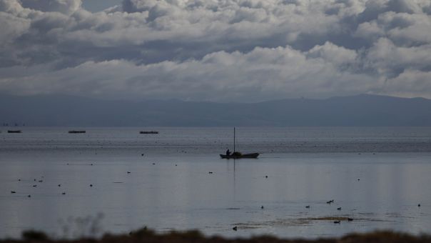 «Όλα βρωμάνε θάνατο»: Στο Περού ο καθαρισμός των ακτών από το πετρέλαιο συνεχίζεται