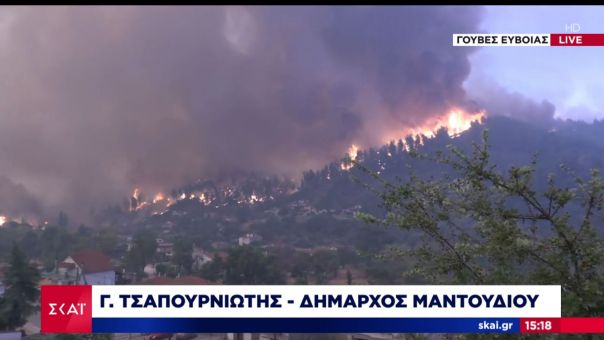 Δήμαρχος Μαντουδίου-ΣΚΑΪ: Ολοκαύτωμα στην Βόρεια Εύβοια, κινδυνεύουν και τα Ήλια