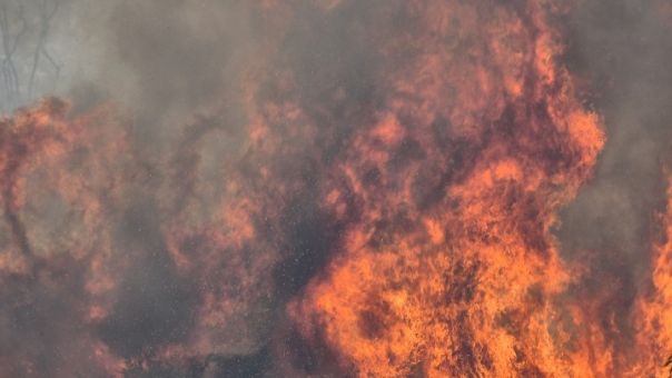Αμαλιάδα: Σε εξέλιξη φωτιά στην περιοχή Άγναντα της Ηλείας	