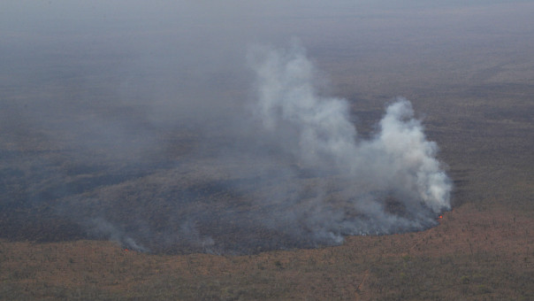 Βολιβία: Πυρκαγιές απανθράκωσαν σχεδόν 36 εκατ. στρέμματα δάσους, βοσκοτόπων και καλλιεργειών