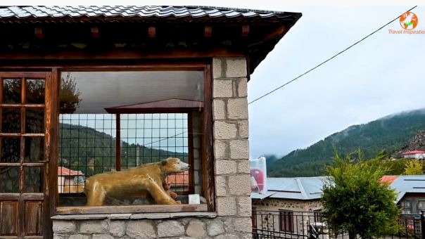 Καταρράκτες Μπουλουβάρου- H Μηλιά με την ιστορία της βαλσαμωμένης αρκούδας (vid)