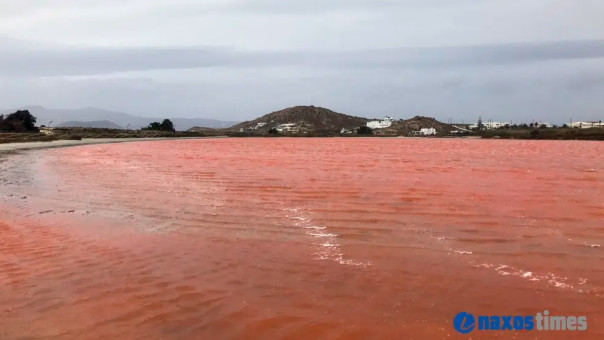 Νάξος: Οι ροζ λίμνες του Αγίου Προκοπίου (video)
