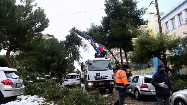 Επιχείρηση απομάκρυνσης των δέντρων που έσπασαν από την κακοκαιρία από τον Δήμο Αθηναίων