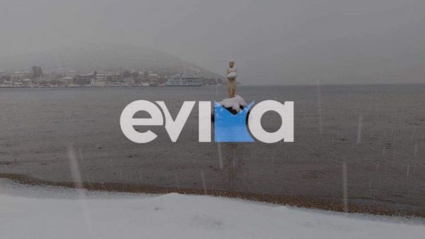 Μέχρι την θάλασσα έφτασαν τα χιόνια σε Εύβοια και Φθιώτιδα - Διακοπές ρεύματος (Video)