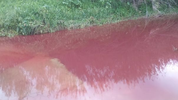 Κρήτη: Το ποτάμι στις Μοίρες βάφτηκε κόκκινο- Τι λέει ο δήμαρχος 