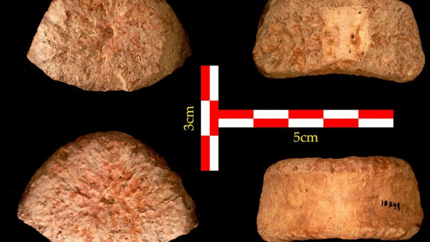 Ανακαλύφθηκε ανθρώπινο οστό ηλικίας 1,5 εκατ. ετών στο Ισραήλ