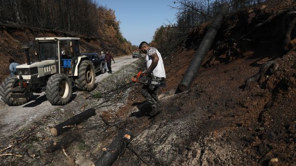 Πιστώνονται προκαταβολές αποζημίωσης 20,3 εκατ. ευρώ σε 1.463 αγρότες που επλήγησαν από τις πυρκαγιές το καλοκαίρι 2021 