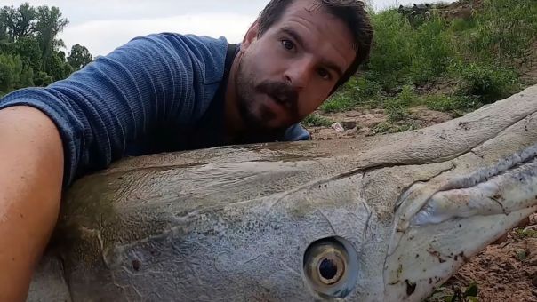 ΗΠΑ: Ψάρευε και του ήρθε ένα γιγάντιο ψάρι-αλιγάτορας στο καλάμι- Δείτε βίντεο