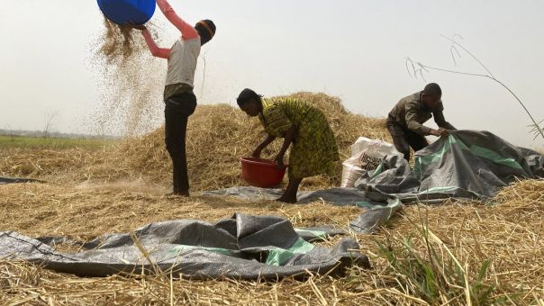 O εφιάλτης της επισιτιστικής κρίσης «ζωντανεύει»: Οι παραγωγές χώρες απαγορεύουν η μία μετά την άλλη τις εξαγωγές τροφίμων