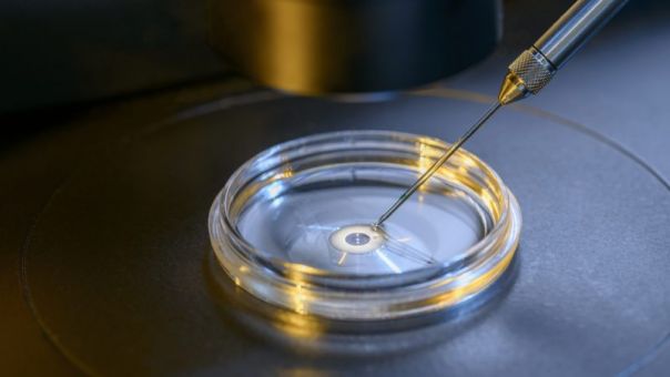 Η Βουλγαρία πιθανόν να επιτρέψει την εξωσωματική γονιμοποίηση με DNA από αποβιώσαντες συζύγους