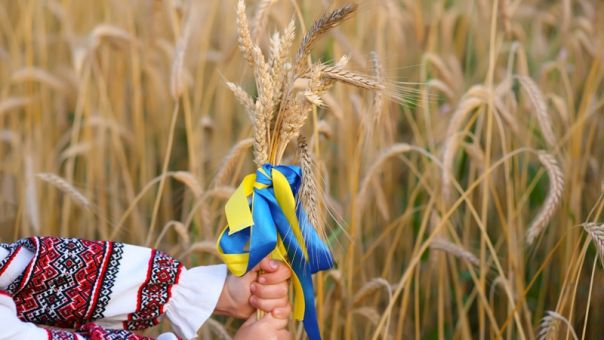 Οι αγρότες της Ουκρανίας σχεδόν ολοκλήρωσαν την εαρινή σπορά	