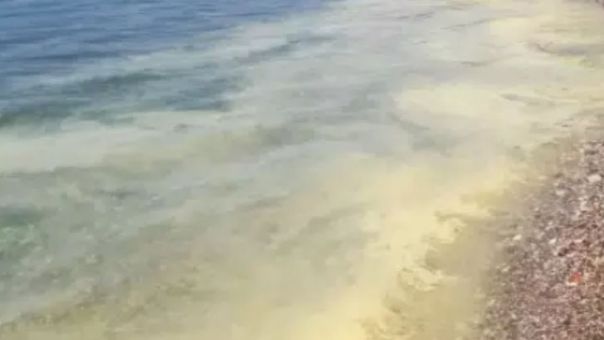 Κιτρίνισε η θάλασσα στην Πάτρα: Ανησύχησαν οι πολίτες – Πού οφείλεται το φαινόμενο