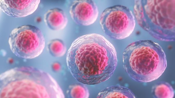 Επιστήμονες υποστηρίζουν ότι εντόπισαν μυστηριώδες κυττάρο στον άνθρωπο- Σε τι χρησιμεύει
